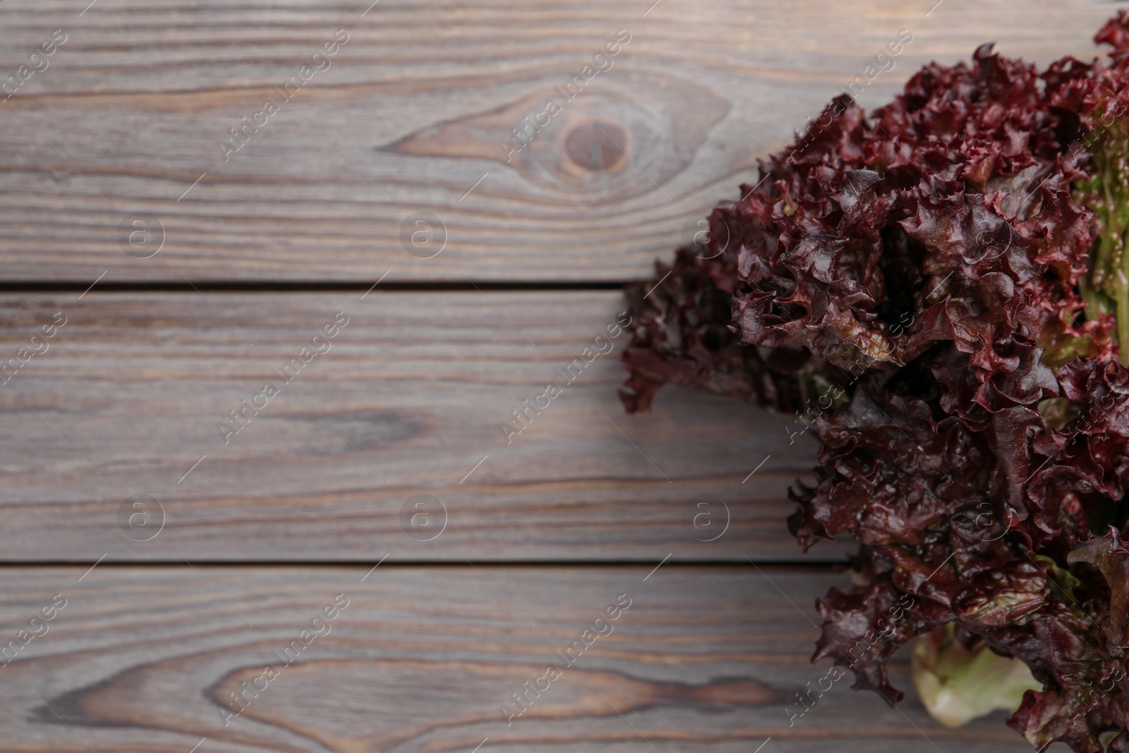 Photo of Fresh red coral lettuce on wooden table, top view. Space for text