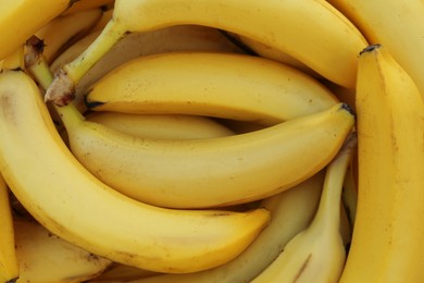 Many tasty bananas as background, closeup view