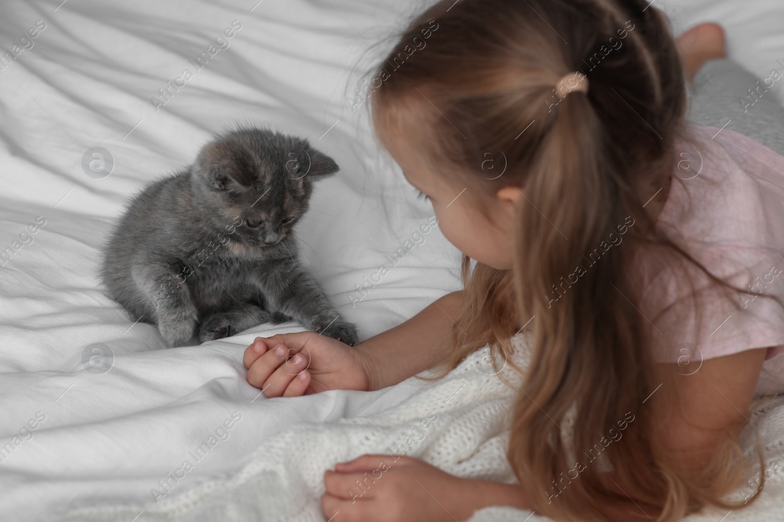 Photo of Cute little girl playing with kitten on bed. Childhood pet