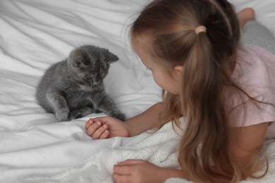 Photo of Cute little girl playing with kitten on bed. Childhood pet