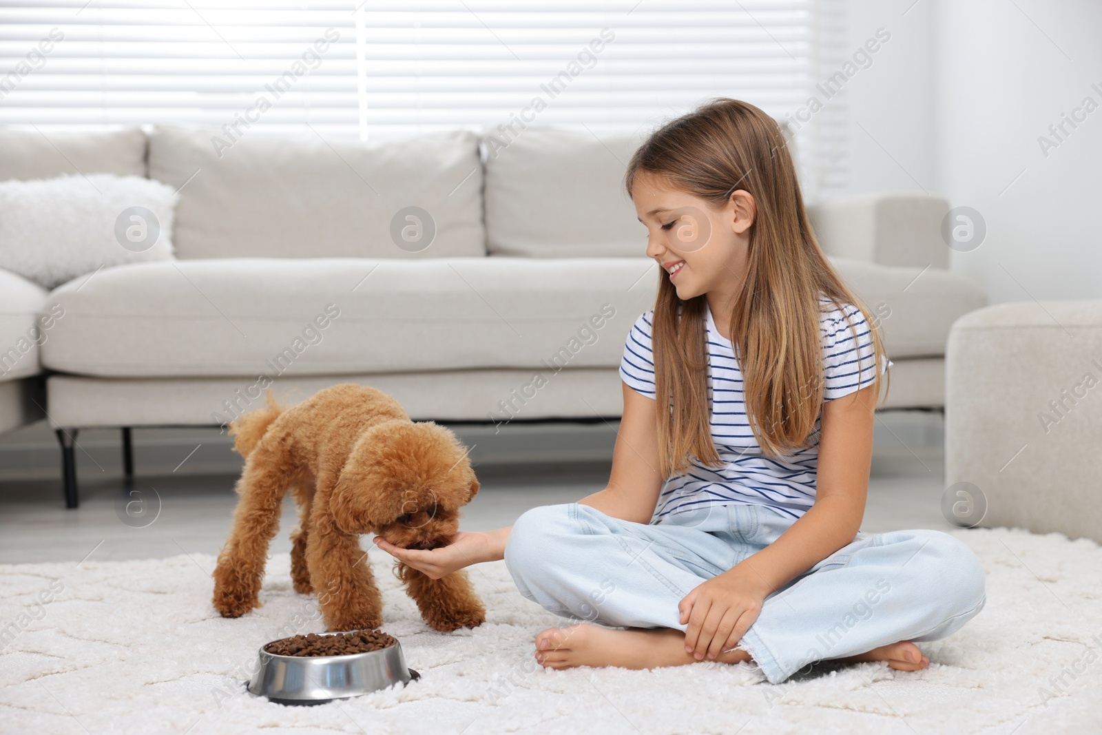 Photo of Little child feeding cute puppy on carpet at home. Lovely pet