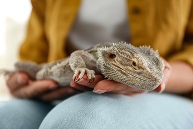 Photo of Young woman with bearded lizard at home, closeup. Exotic pet