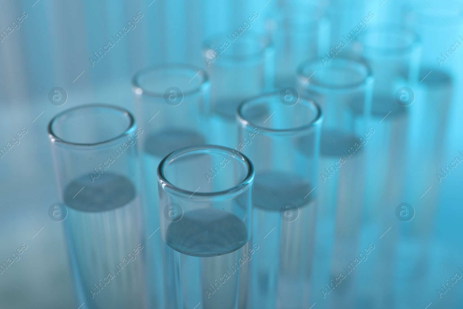 Photo of Laboratory analysis. Many glass test tubes on light blue background, closeup