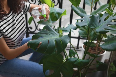 Photo of Woman spraying beautiful potted monstera with water on balcony, closeup
