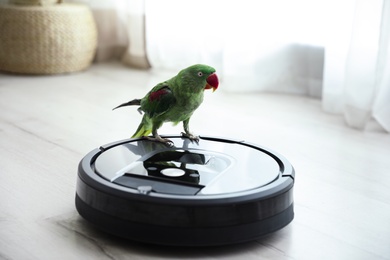 Photo of Modern robotic vacuum cleaner and Alexandrine parakeet on floor indoors