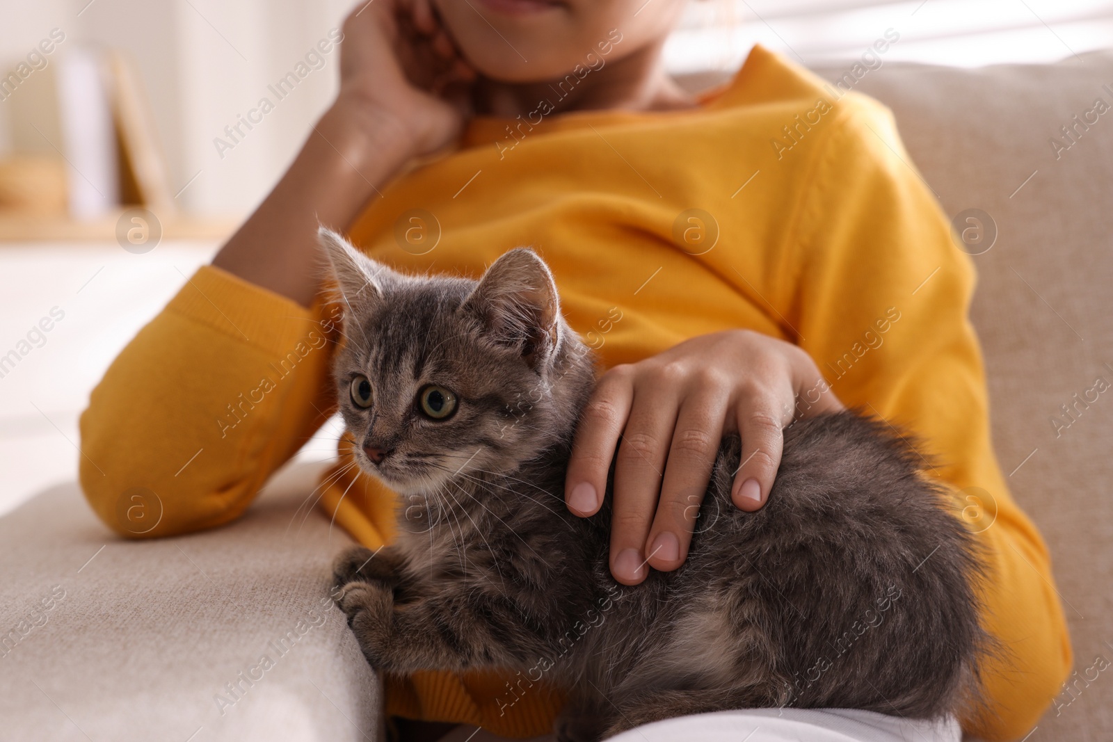 Photo of Cute little girl with kitten on sofa at home, closeup. Childhood pet