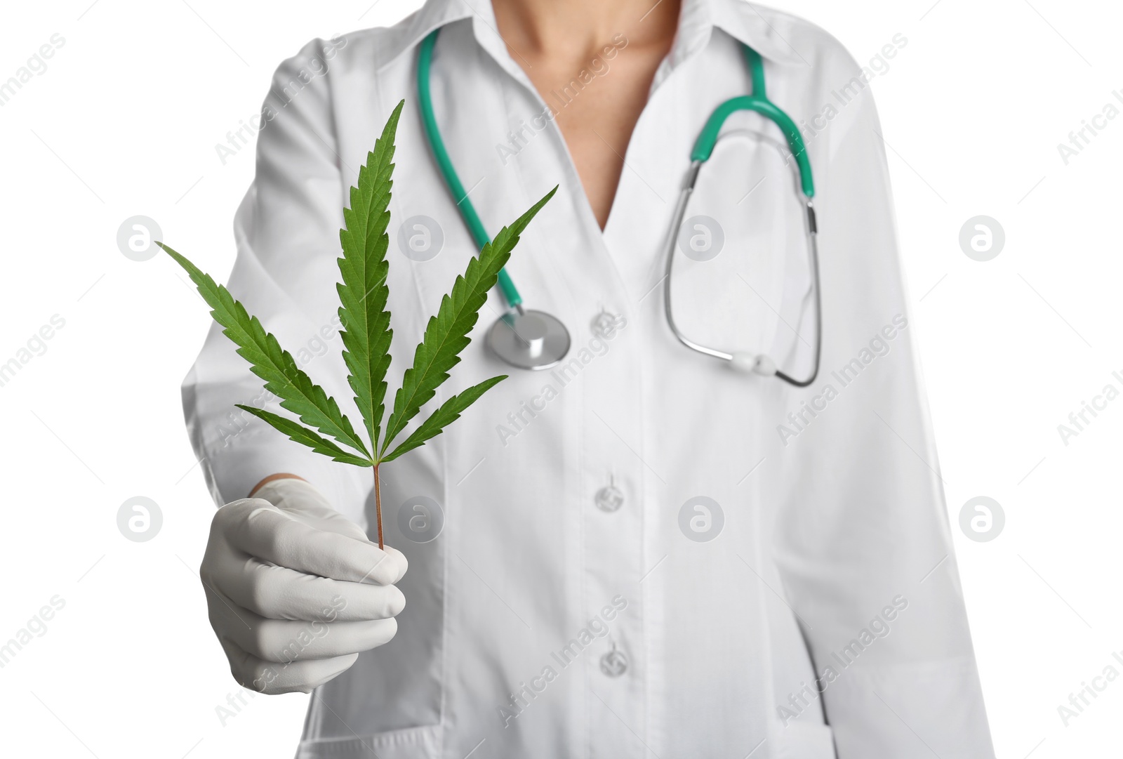 Photo of Doctor holding fresh hemp leaf on white background, closeup