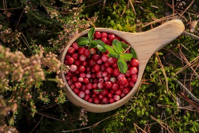 Photo of Many ripe lingonberries and leaves in wooden cup on sunny day outdoors, top view