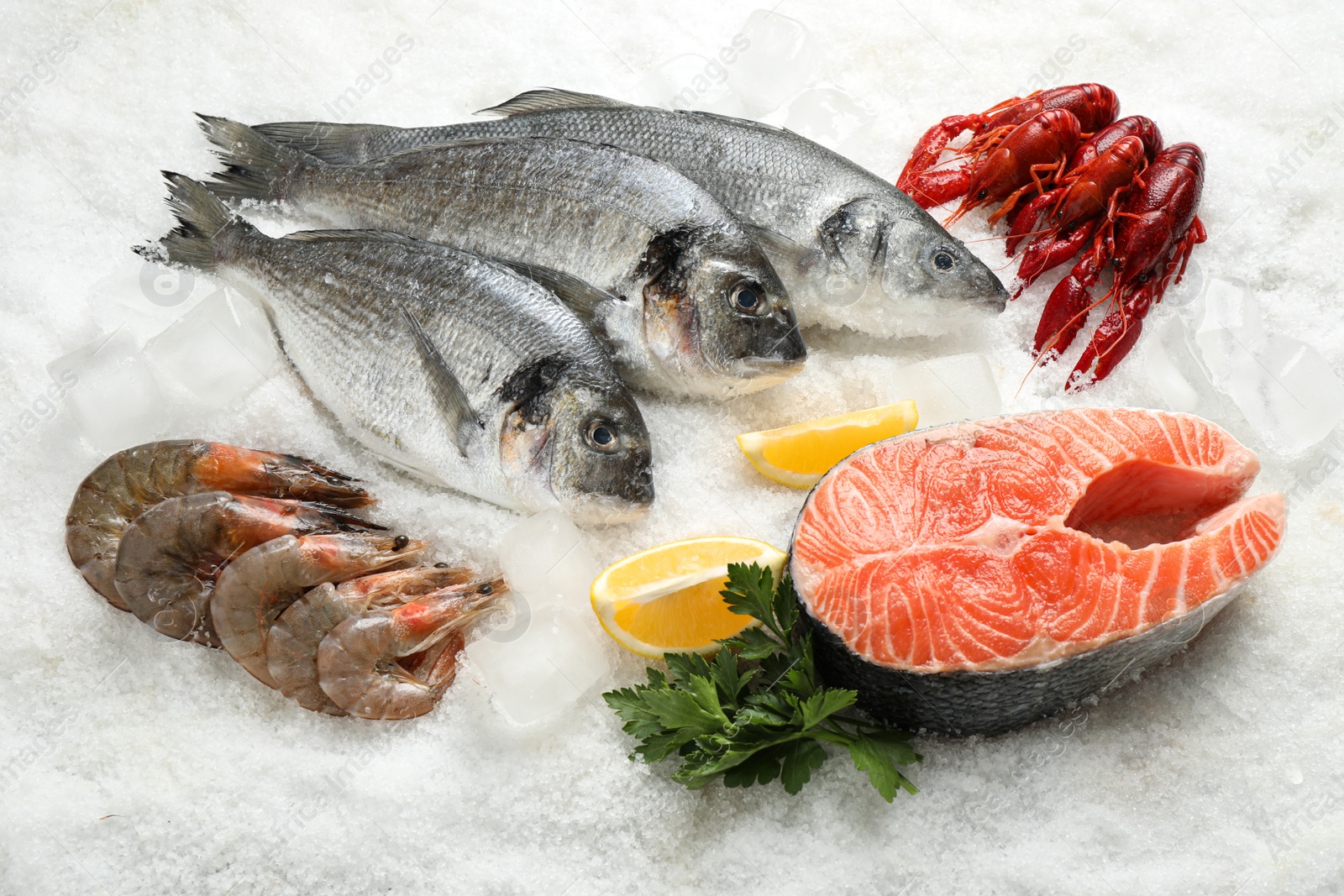 Photo of Fresh fish and different seafood on ice