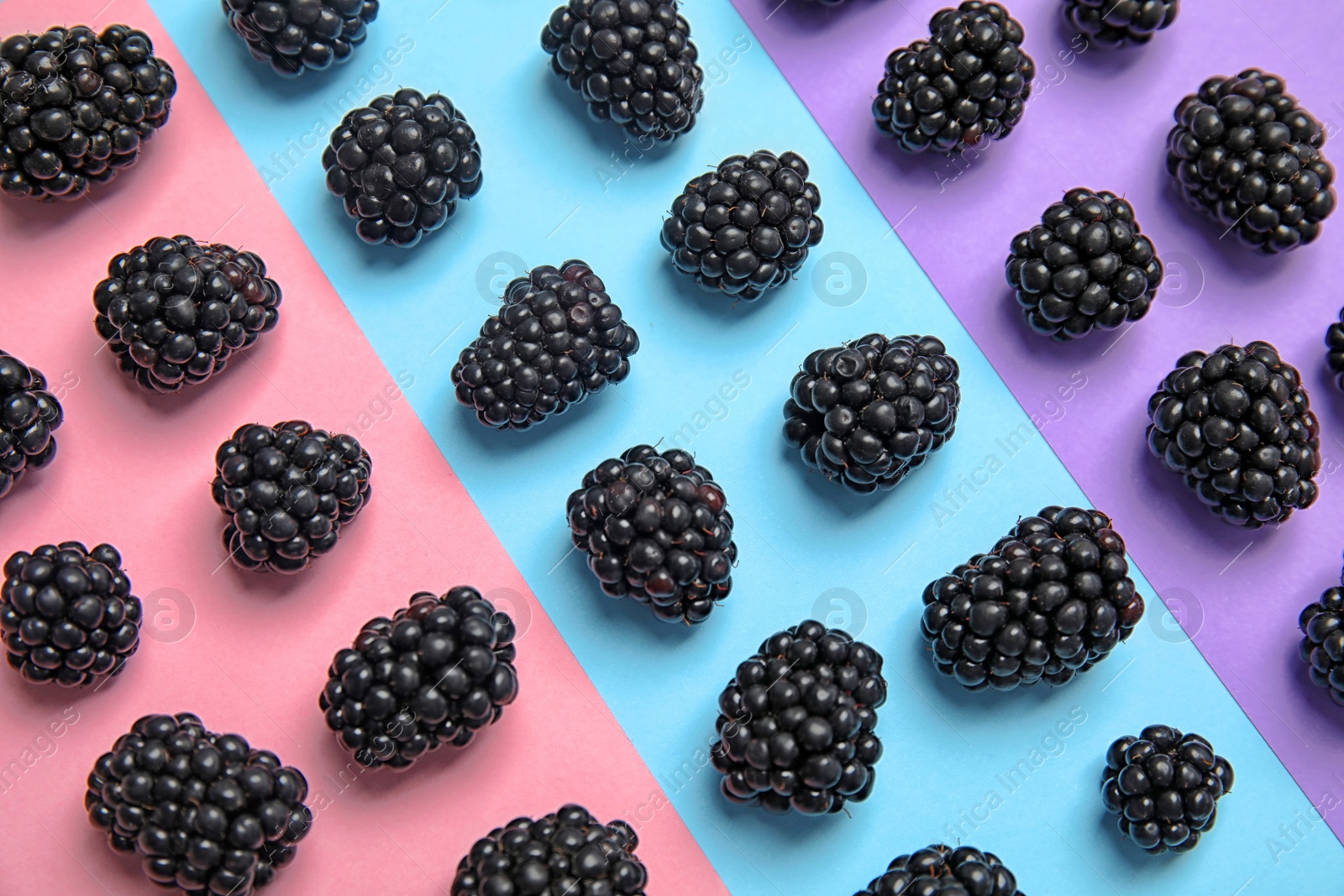 Photo of Flat lay composition with ripe blackberries on color background