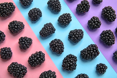 Flat lay composition with ripe blackberries on color background