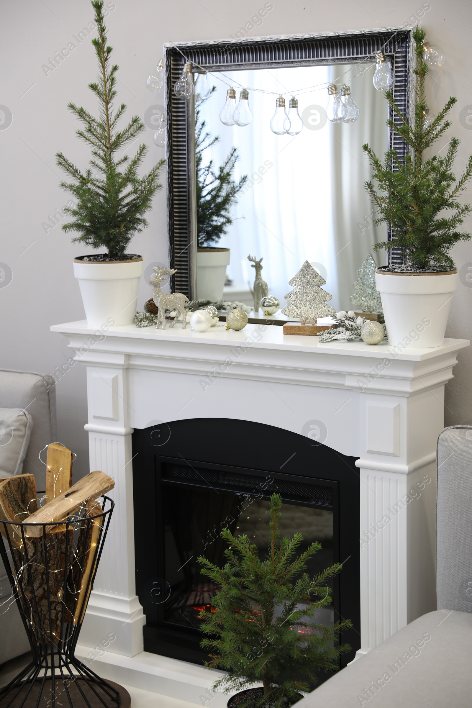 Photo of Little fir trees and Christmas decorations in room with fireplace. Stylish interior design