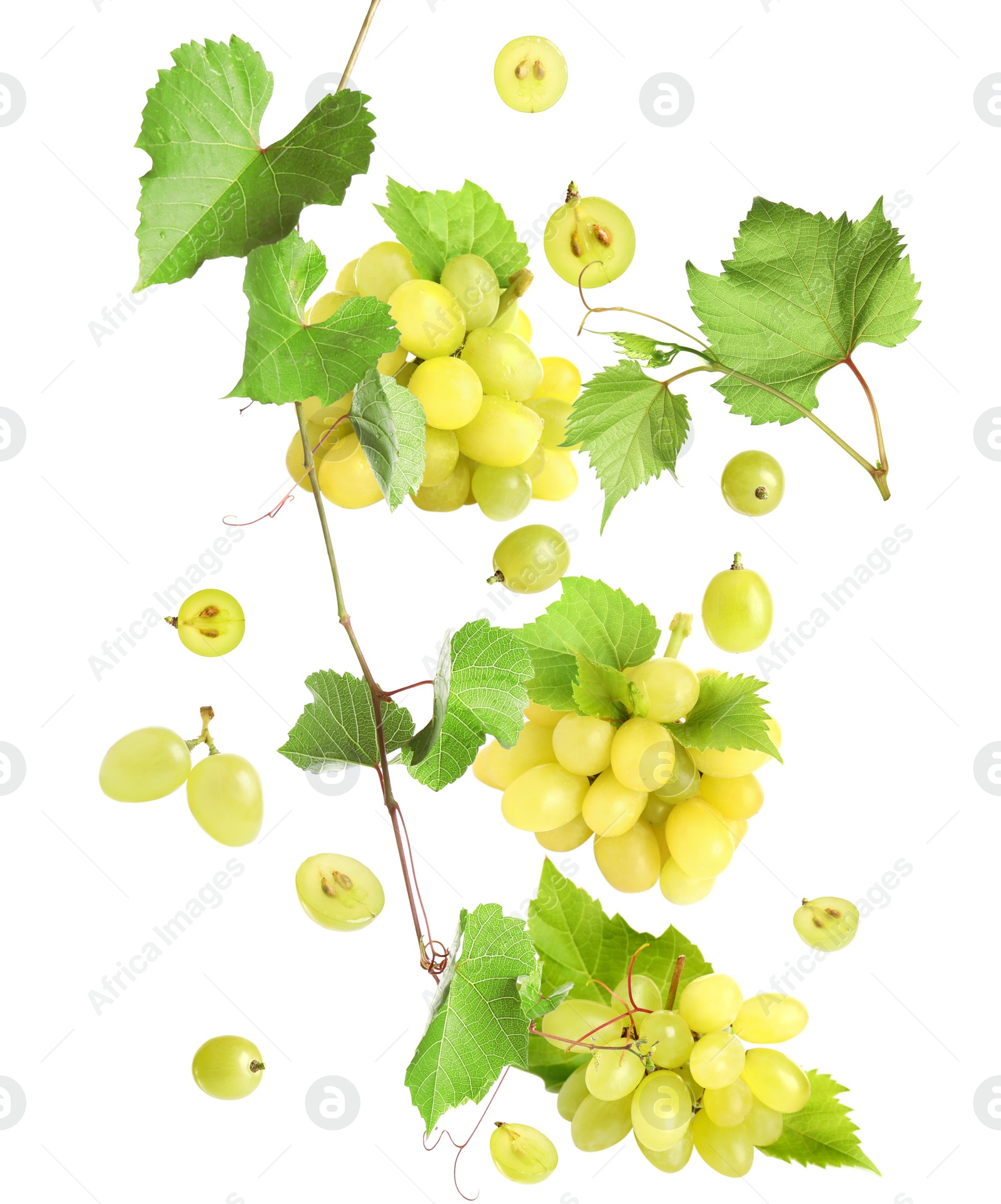 Image of Fresh ripe grapes with green leaves falling on white background