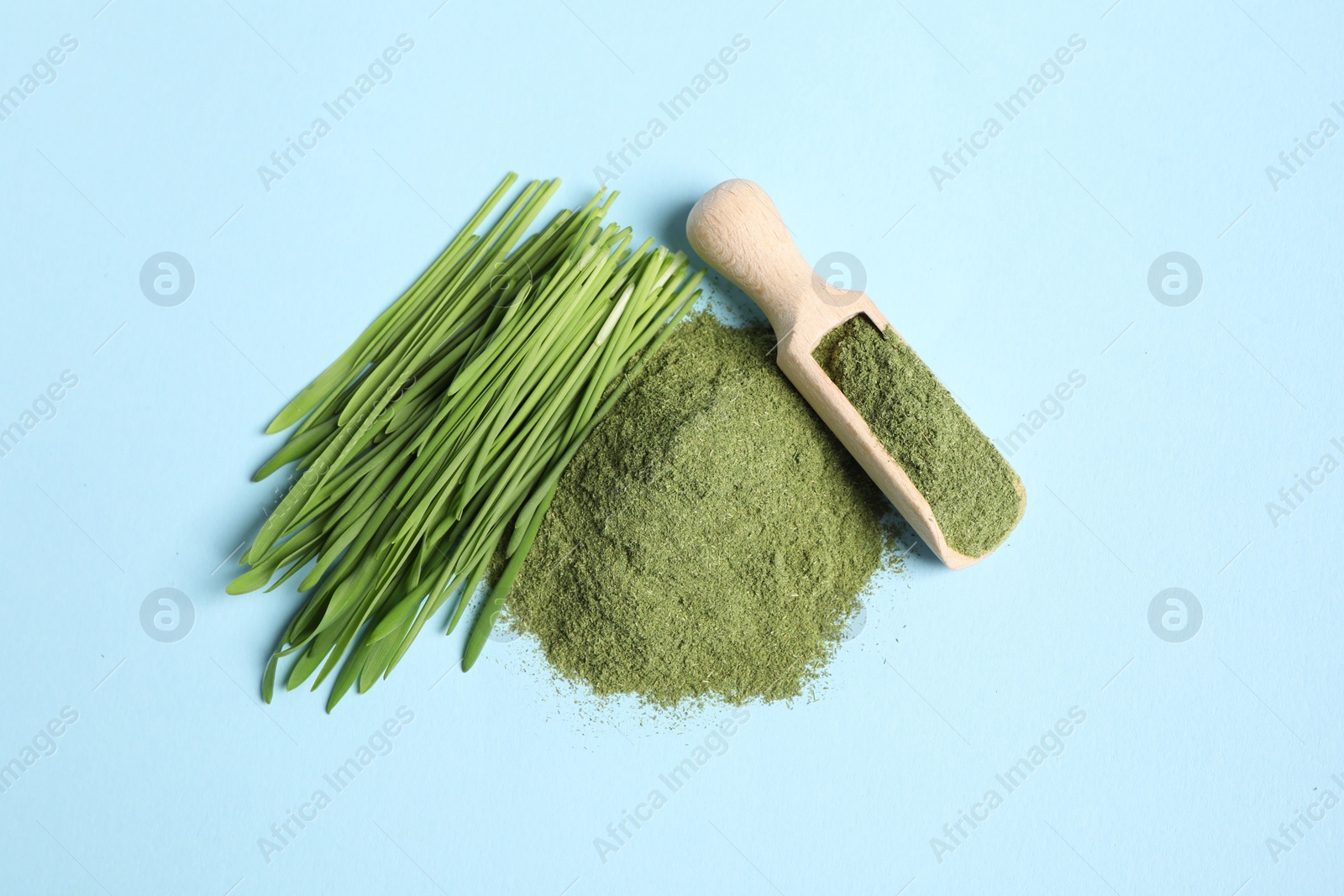 Photo of Pile of wheat grass powder, scoop and fresh sprouts on light blue table, flat lay