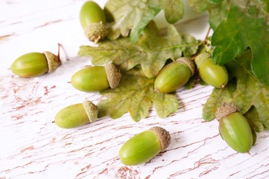 Green acorns and oak leaves on white wooden table