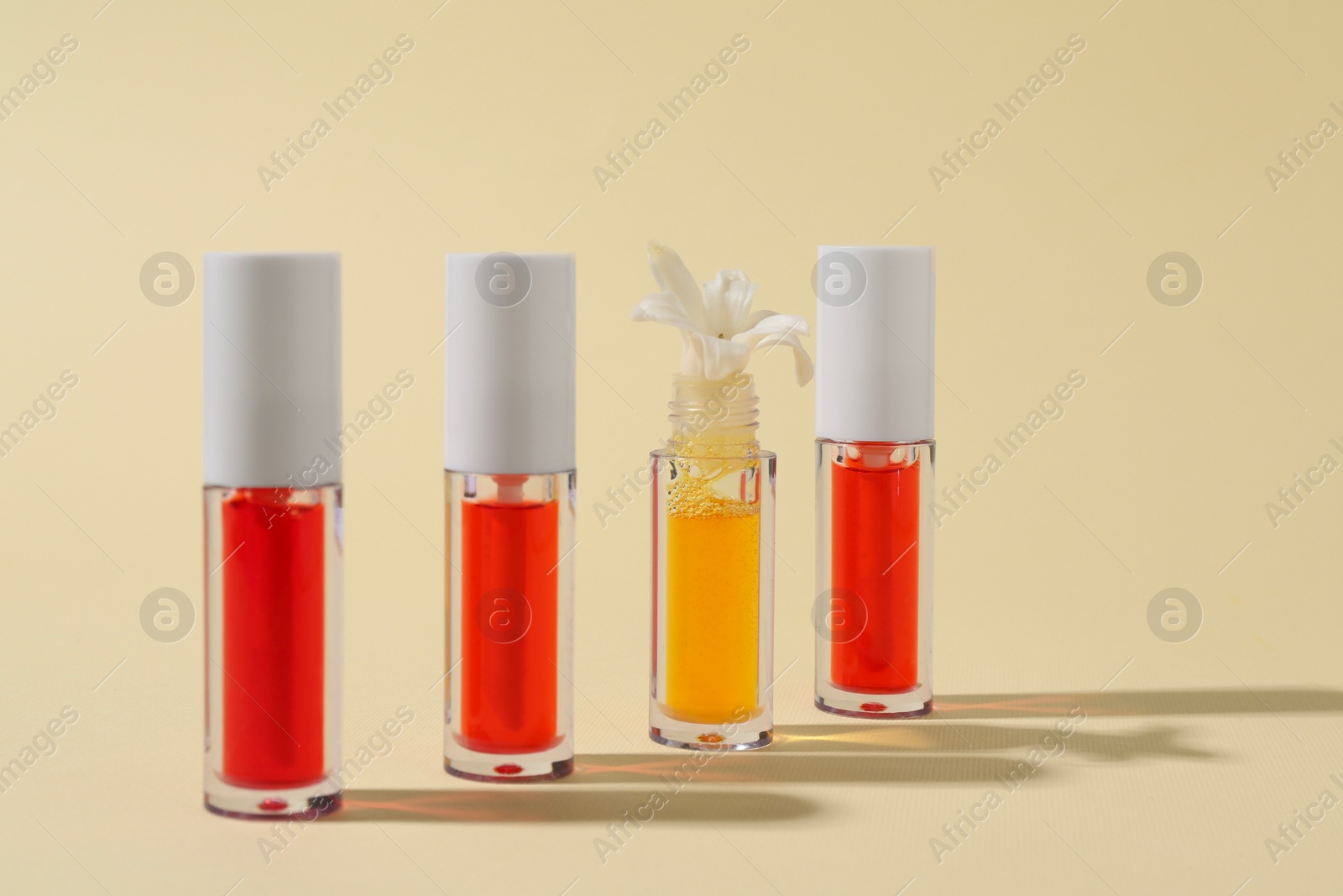 Photo of Bright lip glosses and flower on beige background