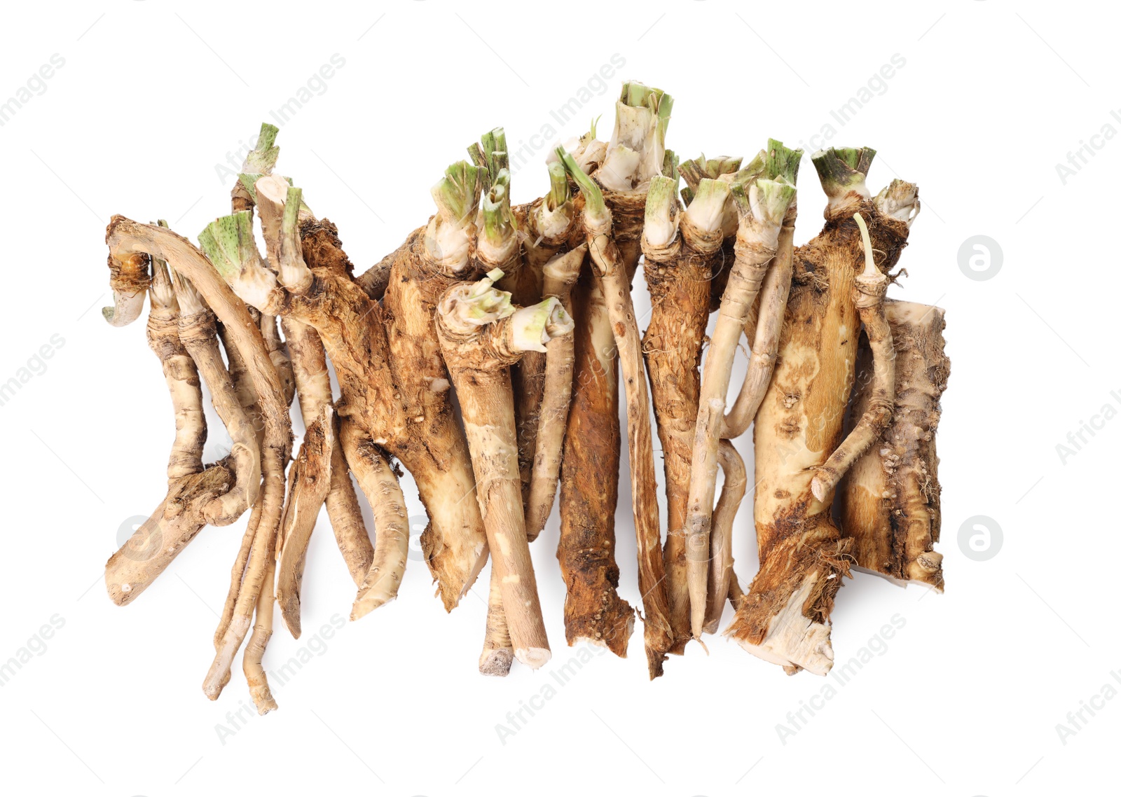 Photo of Pile of fresh horseradish roots isolated on white, top view