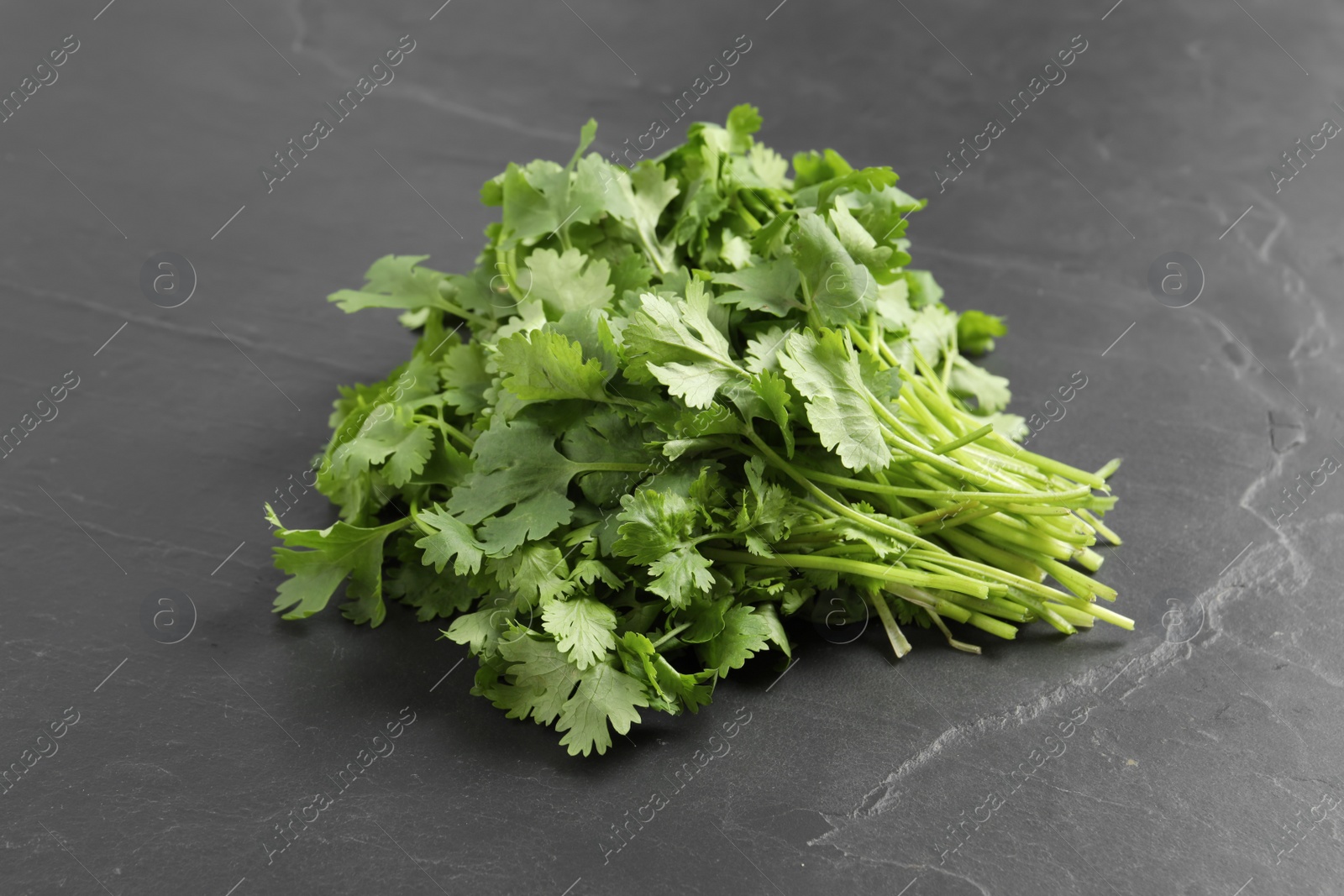 Photo of Bunch of fresh aromatic cilantro on grey table