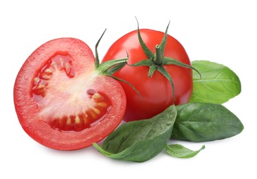 Fresh green basil leaves with cut and whole tomatoes on white background