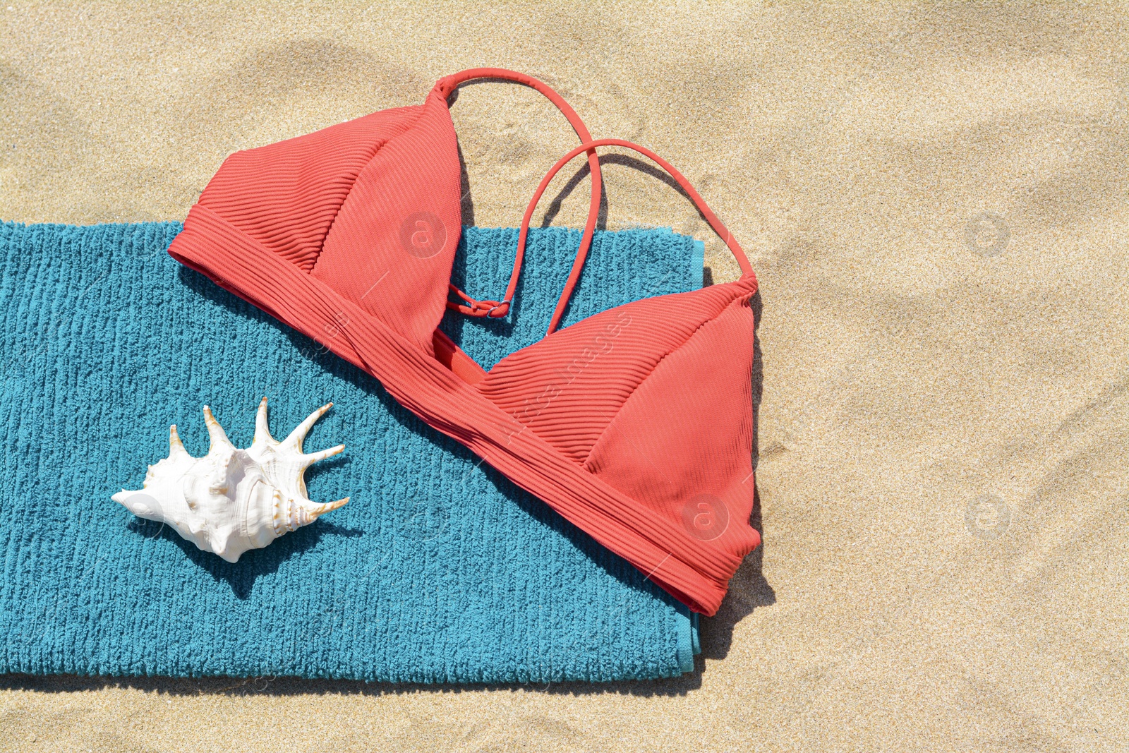 Photo of Towel, bra and seashell on sand, top view with space for text. Beach accessories