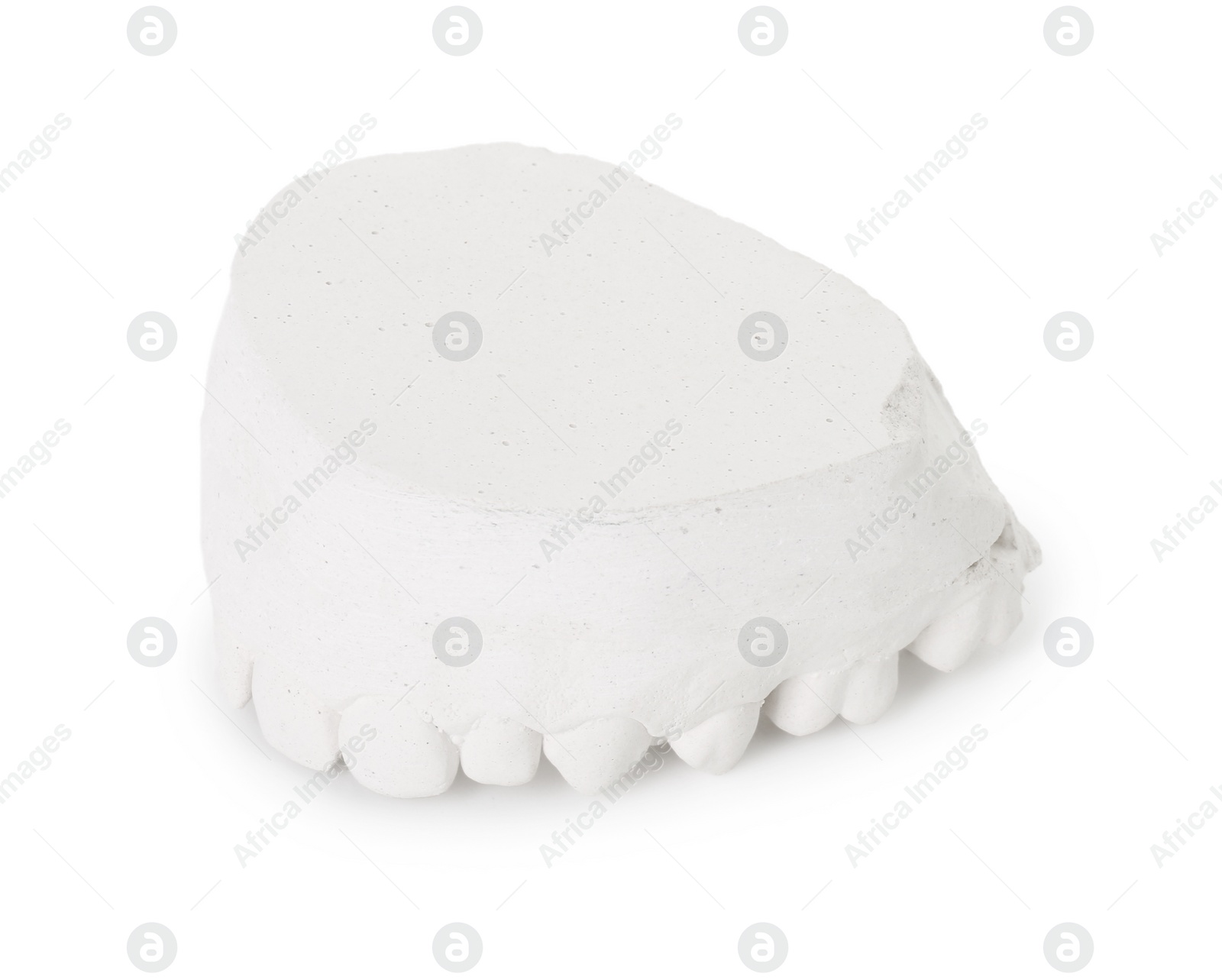 Photo of Dental model with gum isolated on white. Cast of teeth