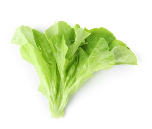 Photo of Leaf of fresh lettuce for burger isolated on white, top view