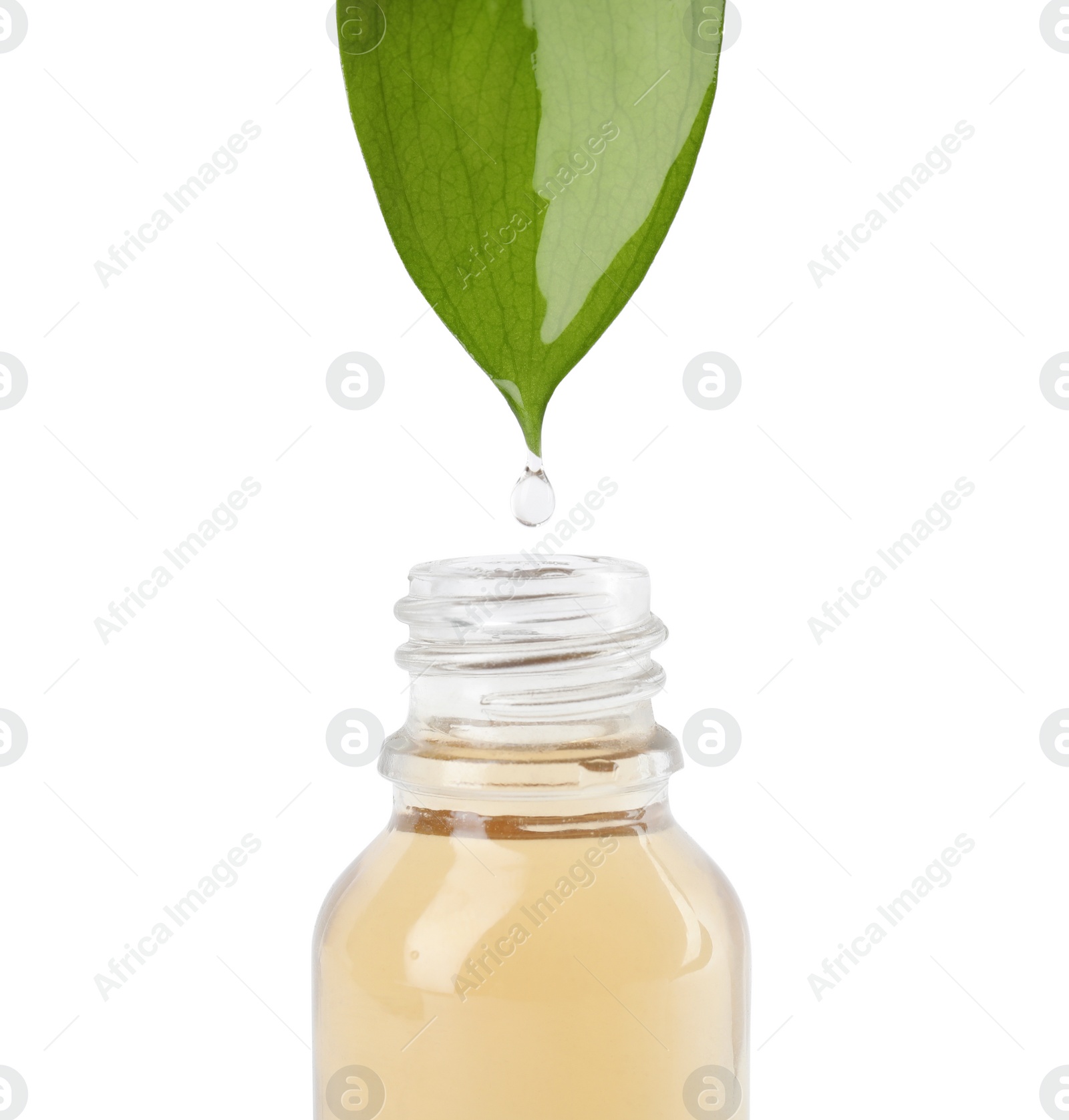 Photo of Essential oil drop falling from green leaf into glass bottle on white background, closeup