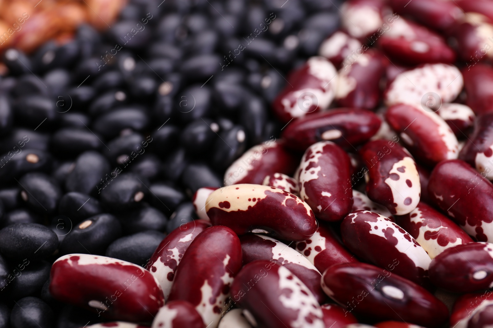 Photo of Different kinds of beans as background, closeup