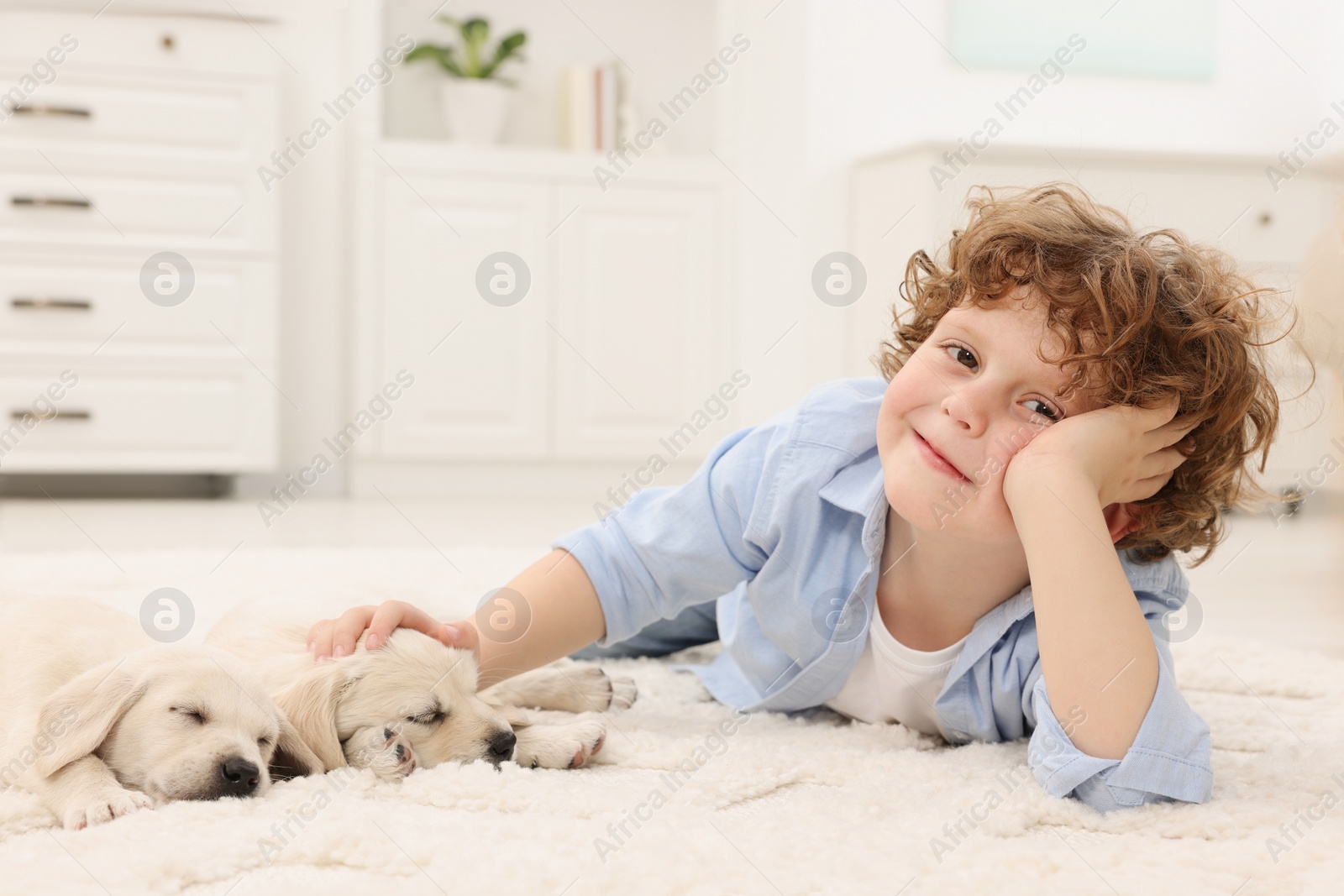 Photo of Little boy lying with cute puppies on white carpet at home