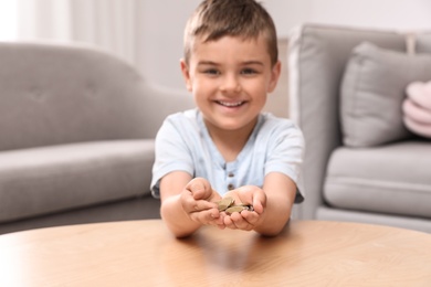 Happy cute little boy holding coins at home, focus on hands