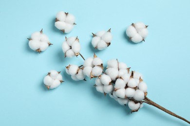 Photo of Branch with cotton flowers on light blue background, top view