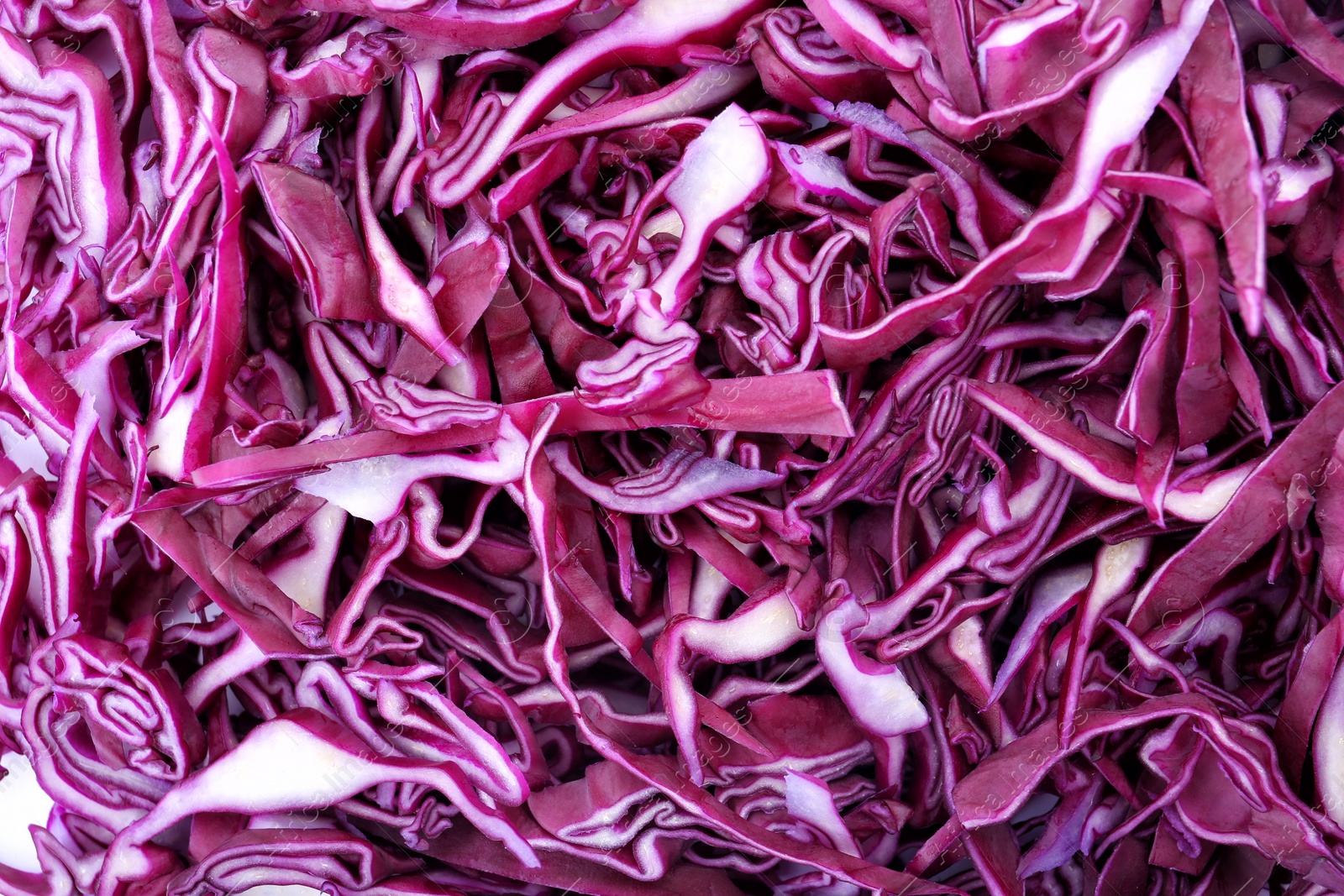 Photo of Texture of chopped red cabbage as background