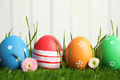 Photo of Colorful Easter eggs and daisy flowers in green grass against white background, closeup