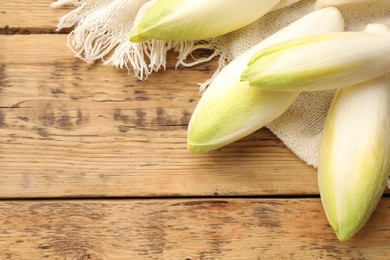 Photo of Fresh raw Belgian endives (chicory) on wooden table, top view. Space for text