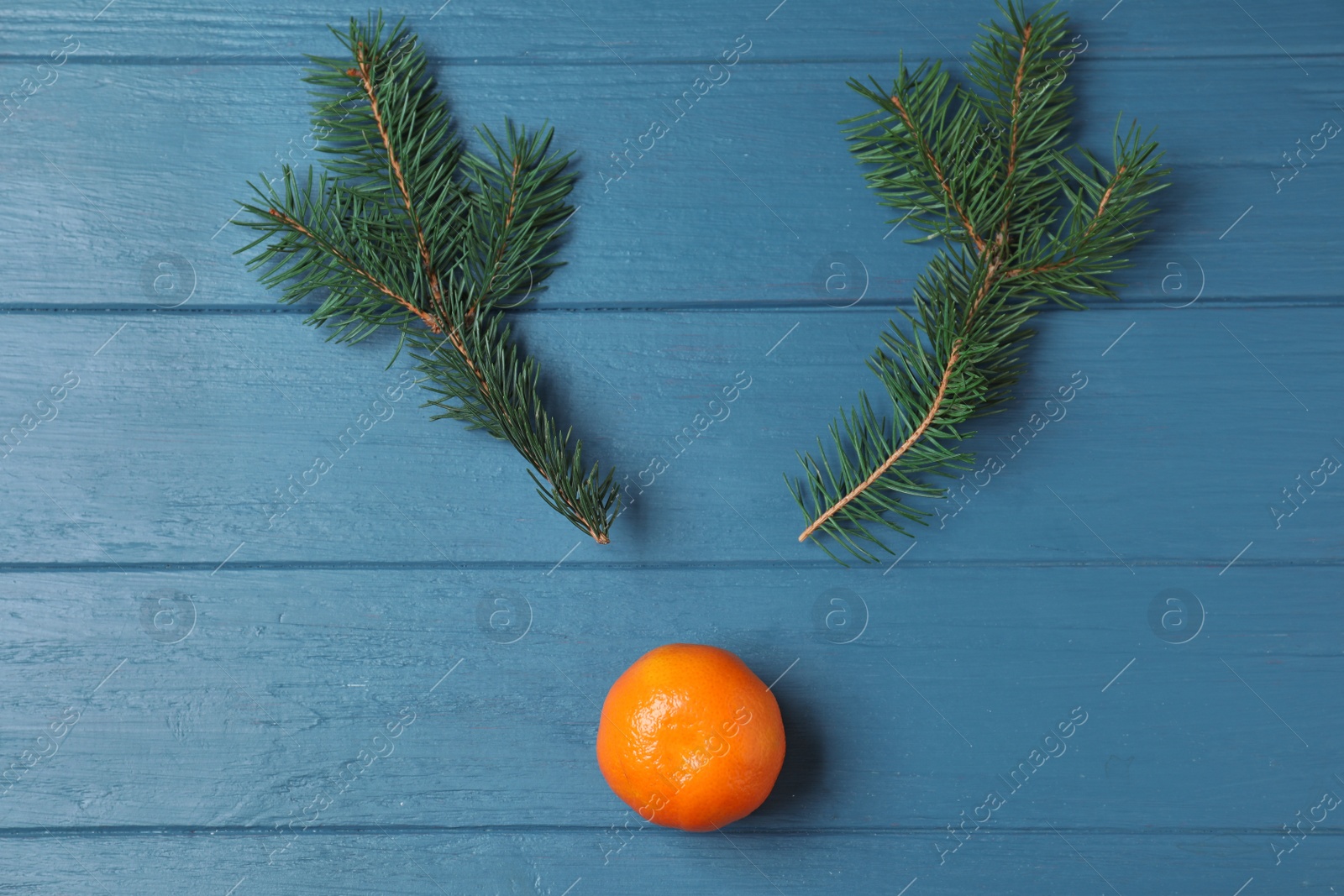 Photo of Flat lay composition with tangerine and fir branches on blue wooden table