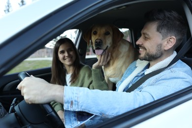 Photo of Happy couple and dog in car. Traveling with pet