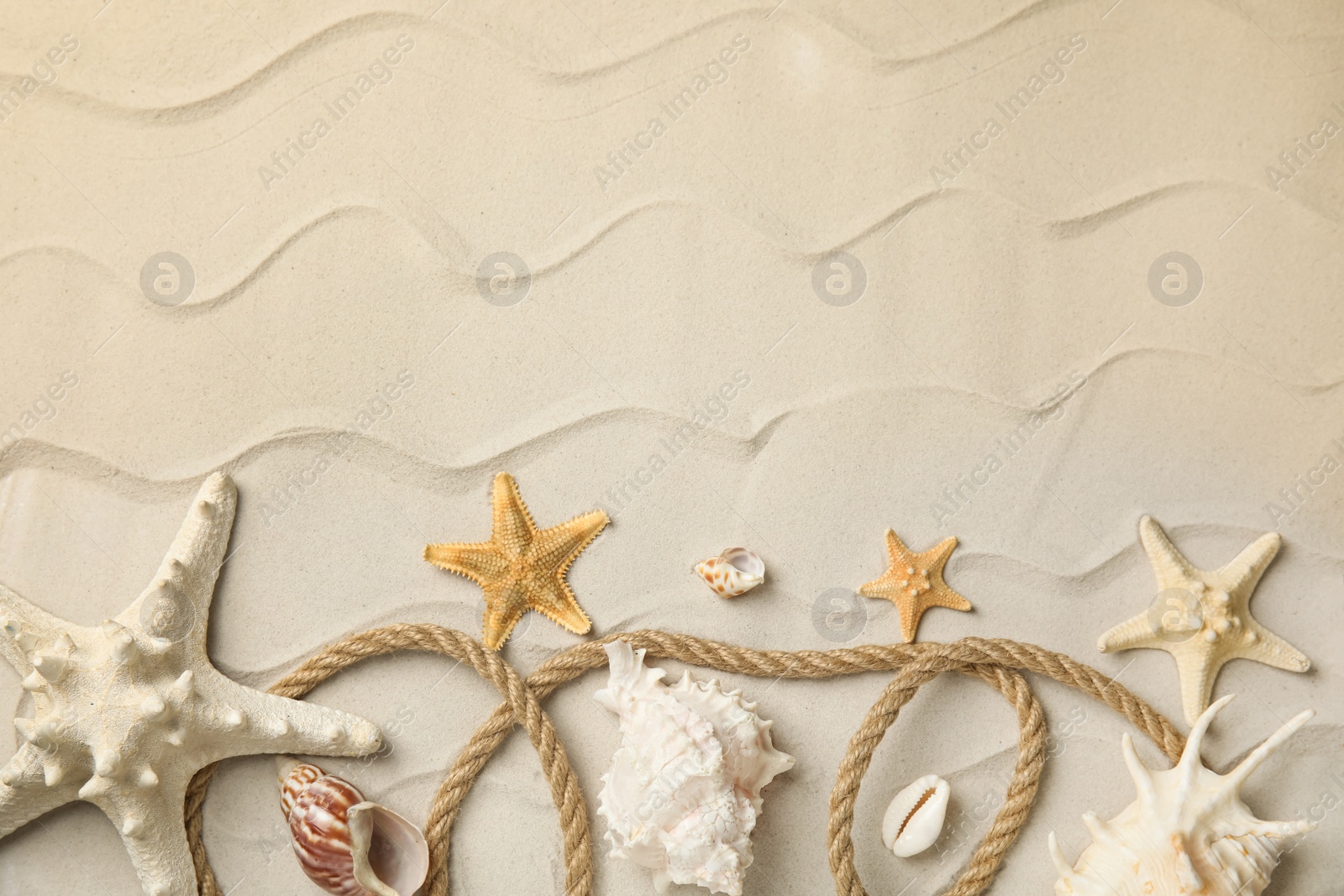 Photo of Beautiful sea stars, shells and rope on sand, flat lay. Space for text