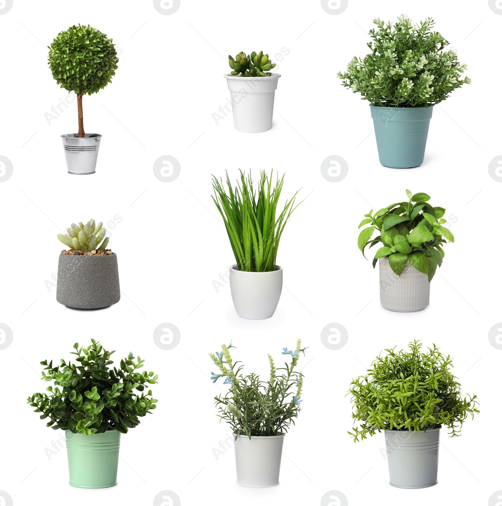 Image of Set of artificial plants in flower pots isolated on white