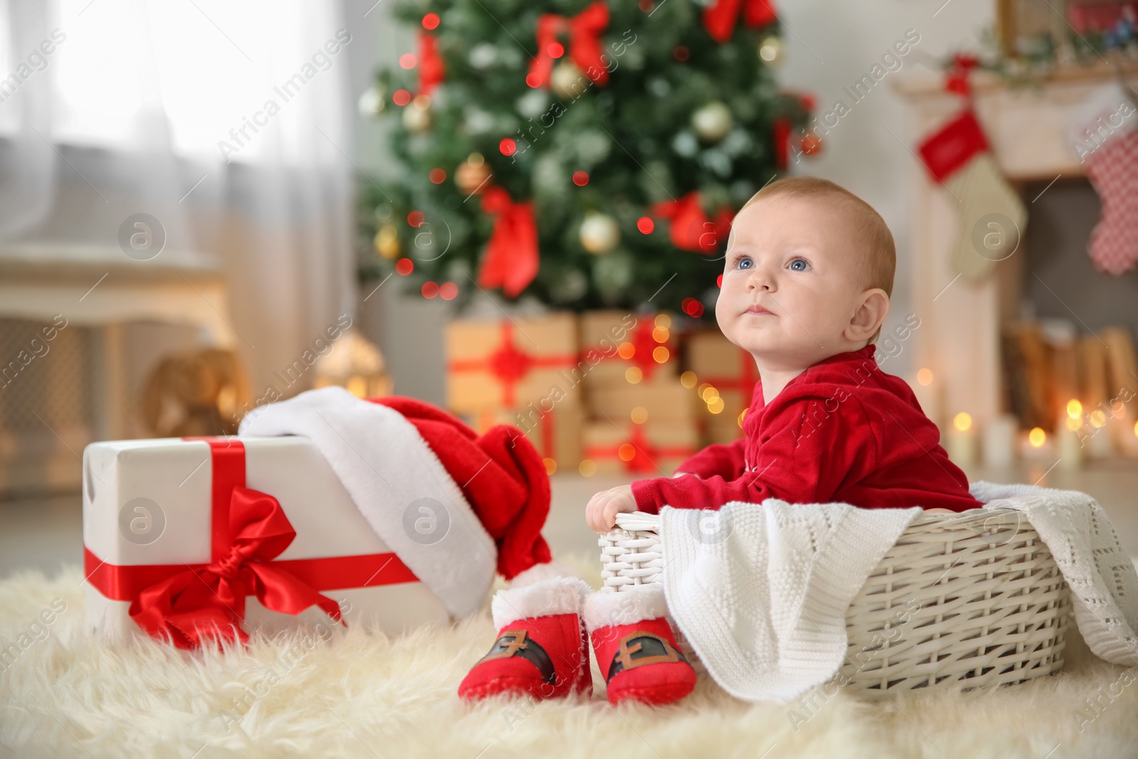 Photo of Cute baby sitting in basket at home. Christmas celebration