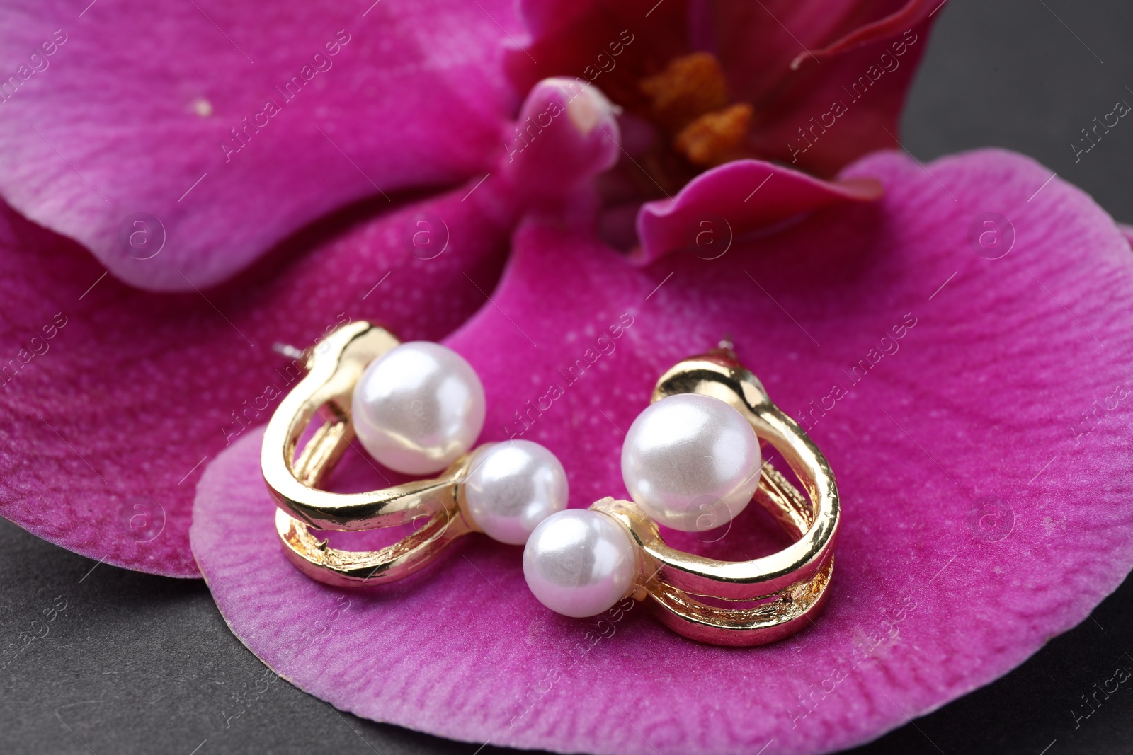 Photo of Elegant pearl earrings and orchid flower on black background, closeup