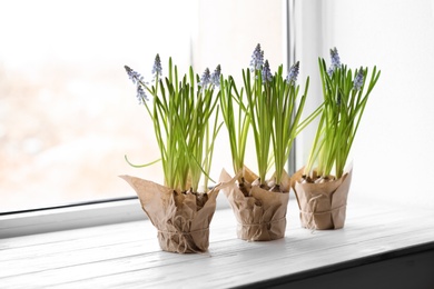 Photo of Beautiful spring muscari flowers in pots on window sill