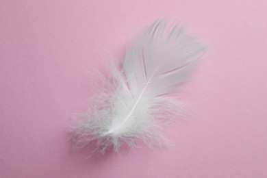 Photo of Fluffy white bird feather on pink background, top view