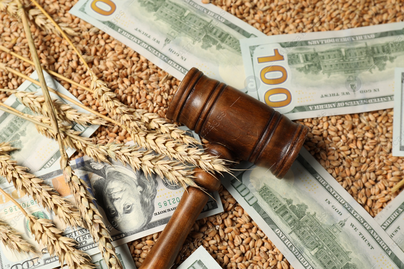 Photo of Dollar banknotes, wooden gavel and wheat ears on grains, above view. Agricultural business