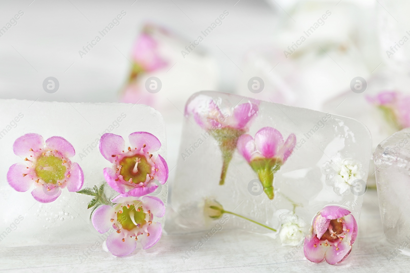 Photo of Floral ice cubes on table, closeup view