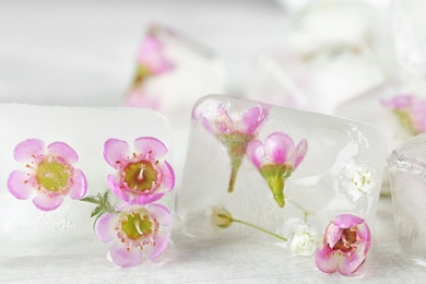 Photo of Floral ice cubes on table, closeup view