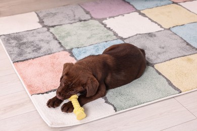 Photo of Cute chocolate Labrador Retriever puppy gnawing bone dog toy on rug indoors. Lovely pet