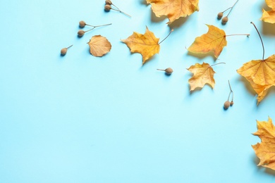 Photo of Flat lay composition with autumn leaves and space for text on color background