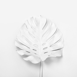 Photo of Painted tropical Monstera leaf on white background, top view