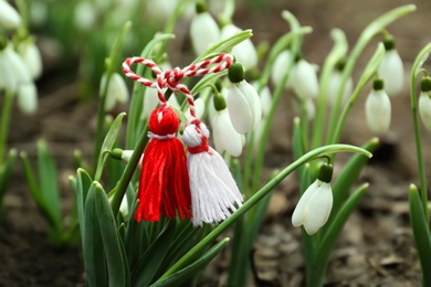 Photo of Traditional martisor and fresh snowdrop flowers outdoors