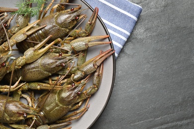 Photo of Fresh raw crayfishes with dill on black table, top view. Space for text